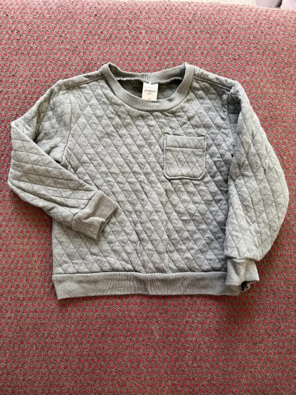 Carter's + OshKosh 2T Fall Sweatshirts Lot of 2 Moose Raglan Sage Quilted